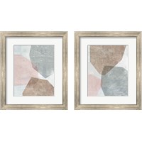 Framed Pensive Blush Gray 2 Piece Framed Art Print Set