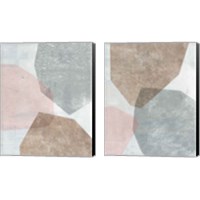 Framed 'Pensive Blush Gray 2 Piece Canvas Print Set' border=