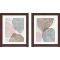 Framed Pensive Blush Gray 2 Piece Framed Art Print Set