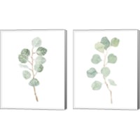 Framed 'Soft Eucalyptus Branch 2 Piece Canvas Print Set' border=