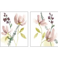 Framed 'Pastel Flower Composition 2 Piece Art Print Set' border=