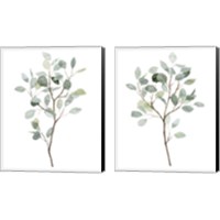 Framed 'Seaglass Eucalyptus 2 Piece Canvas Print Set' border=
