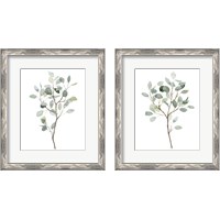 Framed 'Seaglass Eucalyptus 2 Piece Framed Art Print Set' border=