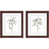 Framed Seaglass Eucalyptus 2 Piece Framed Art Print Set