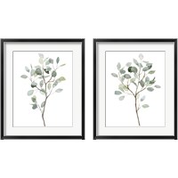 Framed Seaglass Eucalyptus 2 Piece Framed Art Print Set