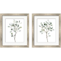 Framed 'Seaglass Eucalyptus 2 Piece Framed Art Print Set' border=