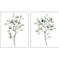 Framed 'Seaglass Eucalyptus 2 Piece Art Print Set' border=