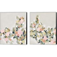 Framed 'Blushing Blooms 2 Piece Canvas Print Set' border=