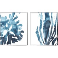 Framed 'Inkwash Kelp 2 Piece Canvas Print Set' border=