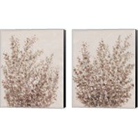 Framed 'Rustic Wildflowers 2 Piece Canvas Print Set' border=