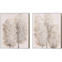 Framed Pampas Grass 2 Piece Canvas Print Set