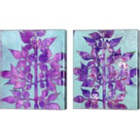 Framed Purple Planta 2 Piece Canvas Print Set