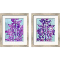 Framed Purple Planta 2 Piece Framed Art Print Set
