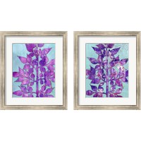 Framed 'Purple Planta 2 Piece Framed Art Print Set' border=