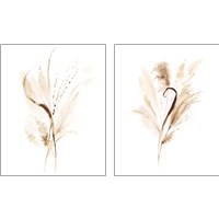 Framed Soft Gathering 2 Piece Art Print Set