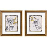 Framed Pursue Sweetness 2 Piece Framed Art Print Set