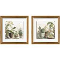 Framed Greenhouse Orchids on Shiplap 2 Piece Framed Art Print Set