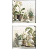 Framed Greenhouse Orchids on Shiplap 2 Piece Canvas Print Set