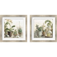 Framed Greenhouse Orchids on Shiplap 2 Piece Framed Art Print Set