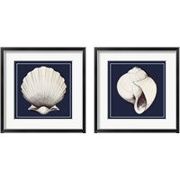 Framed Coastal Shell 2 Piece Framed Art Print Set