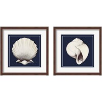 Framed 'Coastal Shell 2 Piece Framed Art Print Set' border=
