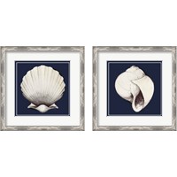 Framed 'Coastal Shell 2 Piece Framed Art Print Set' border=