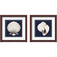 Framed Coastal Shell 2 Piece Framed Art Print Set