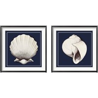 Framed 'Coastal Shell 2 Piece Framed Art Print Set' border=