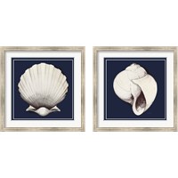 Framed Coastal Shell 2 Piece Framed Art Print Set