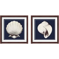Framed Coastal Shell 2 Piece Framed Art Print Set
