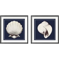 Framed 'Coastal Shell 2 Piece Framed Art Print Set' border=