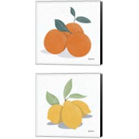Framed 'Fruity Cocktails 2 Piece Canvas Print Set' border=