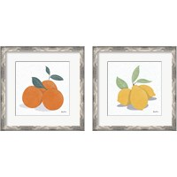 Framed 'Fruity Cocktails 2 Piece Framed Art Print Set' border=