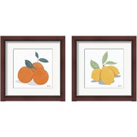 Framed 'Fruity Cocktails 2 Piece Framed Art Print Set' border=