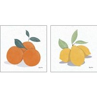 Framed 'Fruity Cocktails 2 Piece Art Print Set' border=