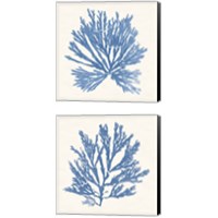 Framed 'Pacific Sea Mosses Light Blue 2 Piece Canvas Print Set' border=