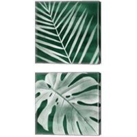 Framed 'Velvet Palm 2 Piece Canvas Print Set' border=