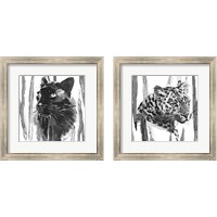 Framed Still Cat 2 Piece Framed Art Print Set