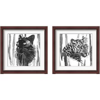 Framed Still Cat 2 Piece Framed Art Print Set