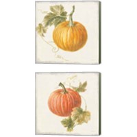 Framed 'Floursack Autumn 2 Piece Canvas Print Set' border=