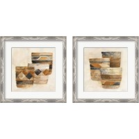 Framed Desert Still Life 2 Piece Framed Art Print Set