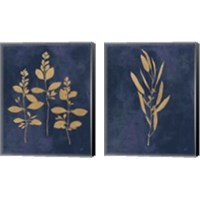 Framed 'Botanical Study Gold Navy2 Piece Canvas Print Set' border=