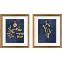Framed Botanical Study Gold Navy2 Piece Framed Art Print Set