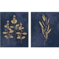 Framed Botanical Study Gold Navy2 Piece Art Print Set
