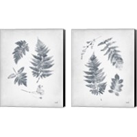 Framed 'Walk in the Woods 2 Piece Canvas Print Set' border=