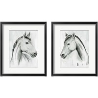 Framed Silver Gelding 2 Piece Framed Art Print Set