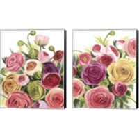 Framed 'Ranunculus Study 2 Piece Canvas Print Set' border=