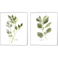 Framed 'Herb Garden Sketches 2 Piece Canvas Print Set' border=