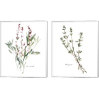Framed 'Herb Garden Sketches 2 Piece Canvas Print Set' border=