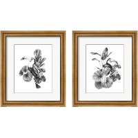 Framed Toucan Toile 2 Piece Framed Art Print Set